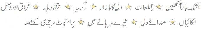 List of Urdu Shaeri